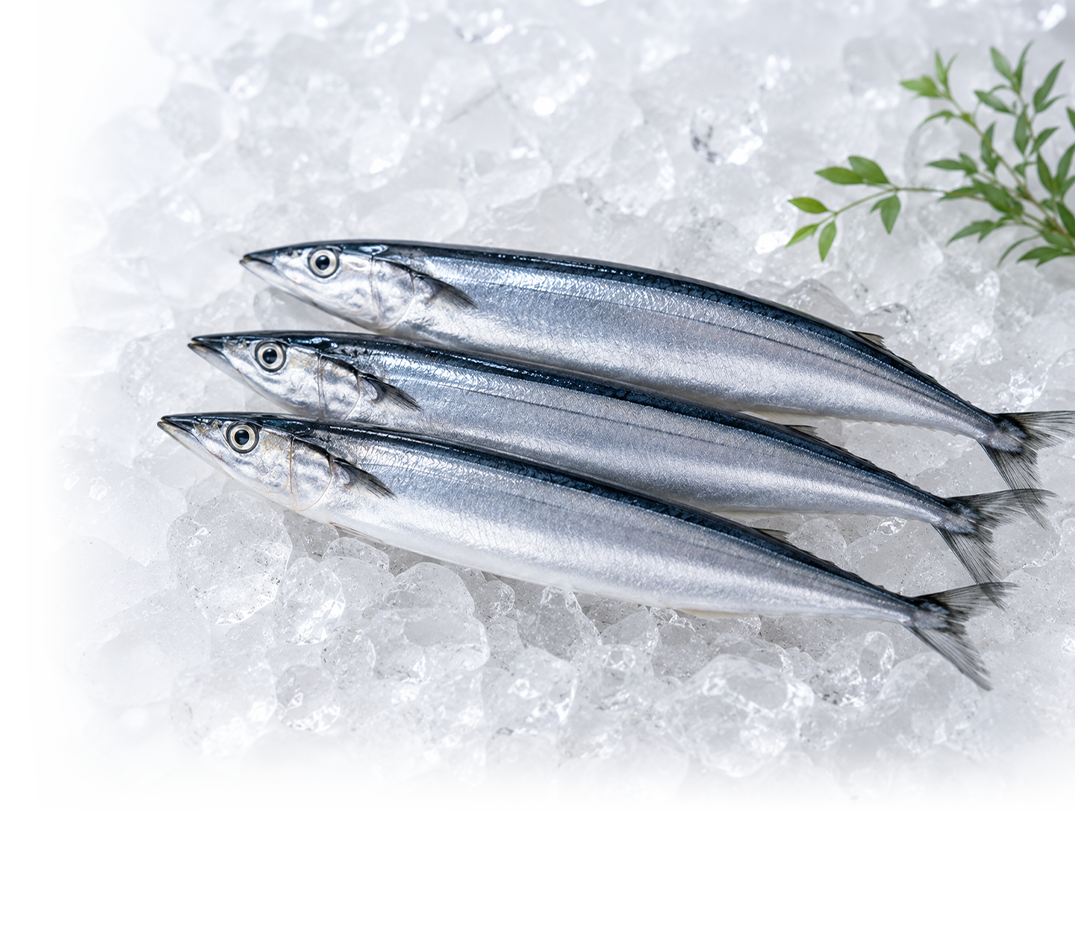 秋刀魚